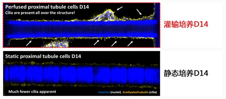 1747796534401562.jpg 微信圖片_20250521110101.jpg