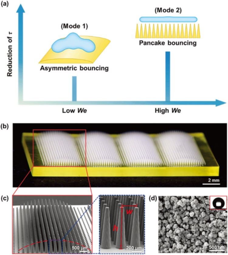 1747797468581185.jpg 微信圖片_20250521111653.jpg