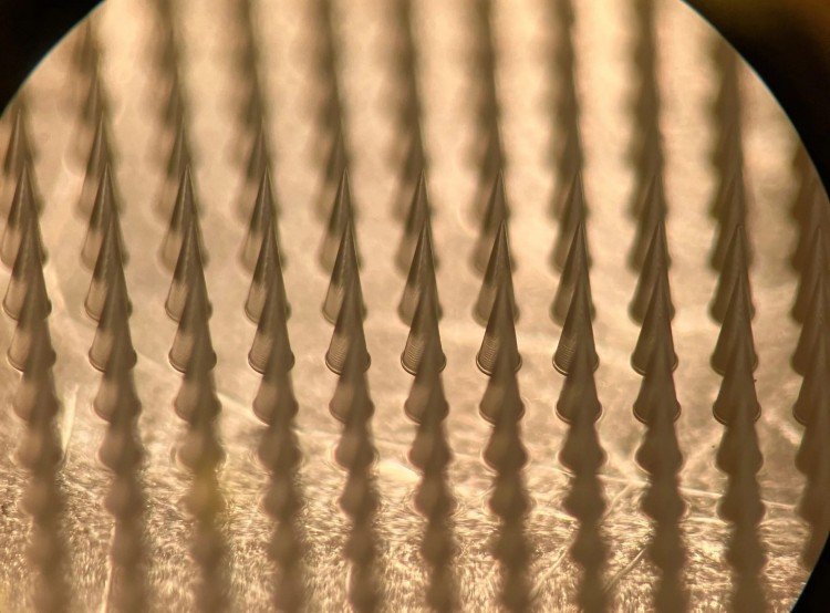 1747987602487597.jpg 微信圖片_20250523160335.jpg