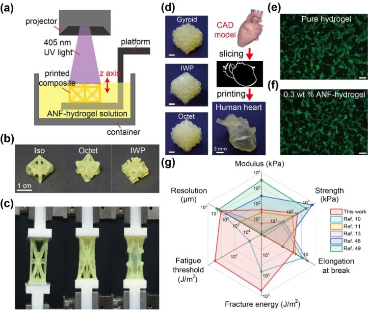1748416620628263.jpg 微信圖片_20250528151553.jpg