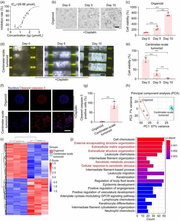 1749611079950585.jpg 微信圖片_20250611110328.jpg