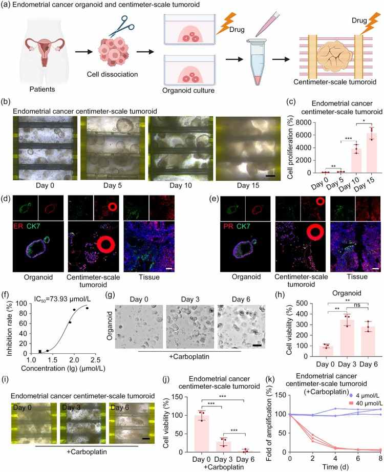 1749611135158772.jpg 微信圖片_20250611110332.jpg