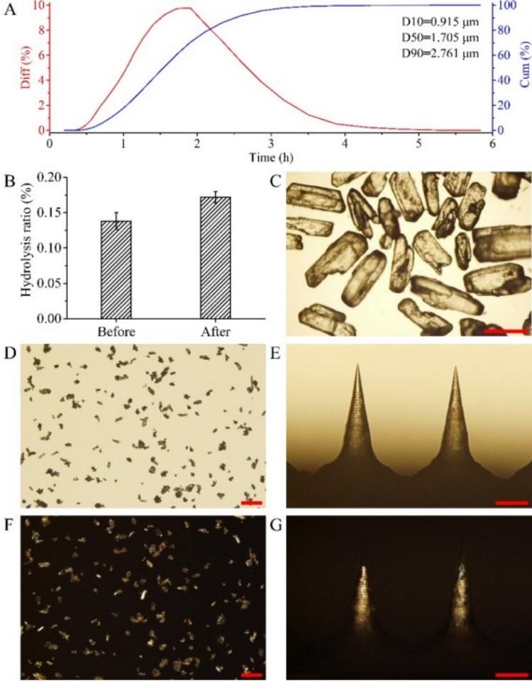 1749708821998551.jpg 微信圖片_20250612141239.jpg