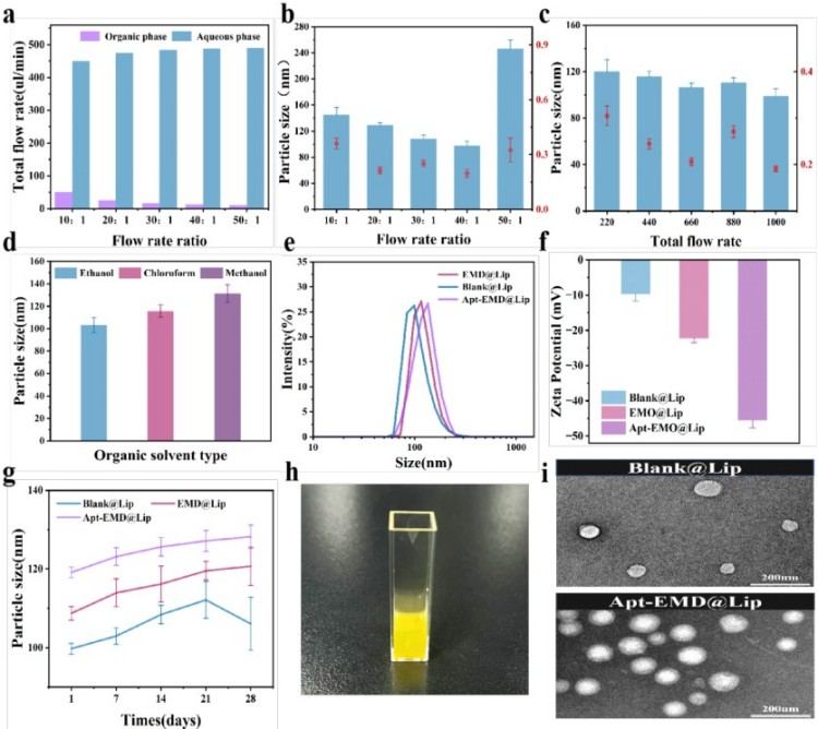 1751420066560629.jpg 微信圖片_20250702092006.jpg