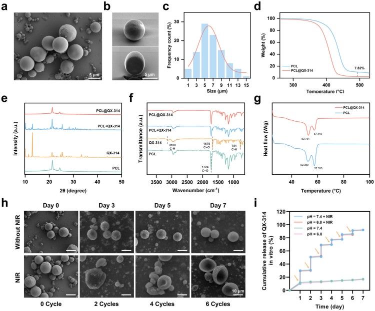 1751853138261870.jpg 微信圖片_20250707094910.jpg