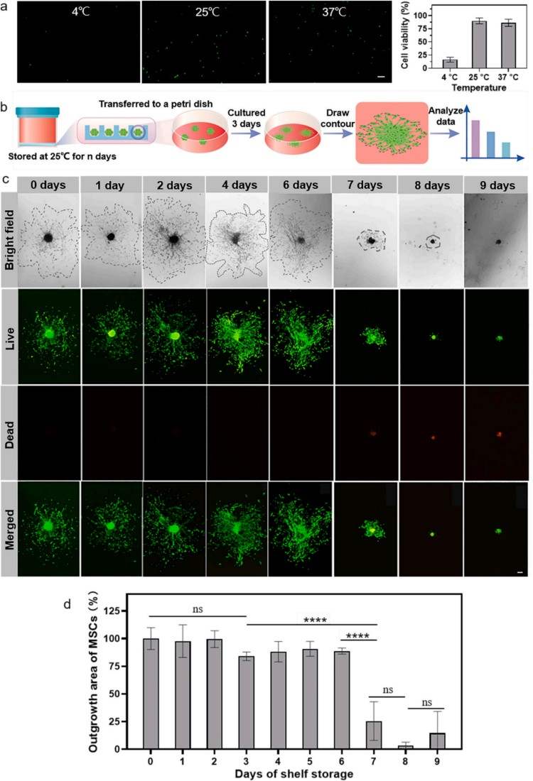 1753840022940577.jpg 微信圖片_2025-07-30_094506_536.jpg