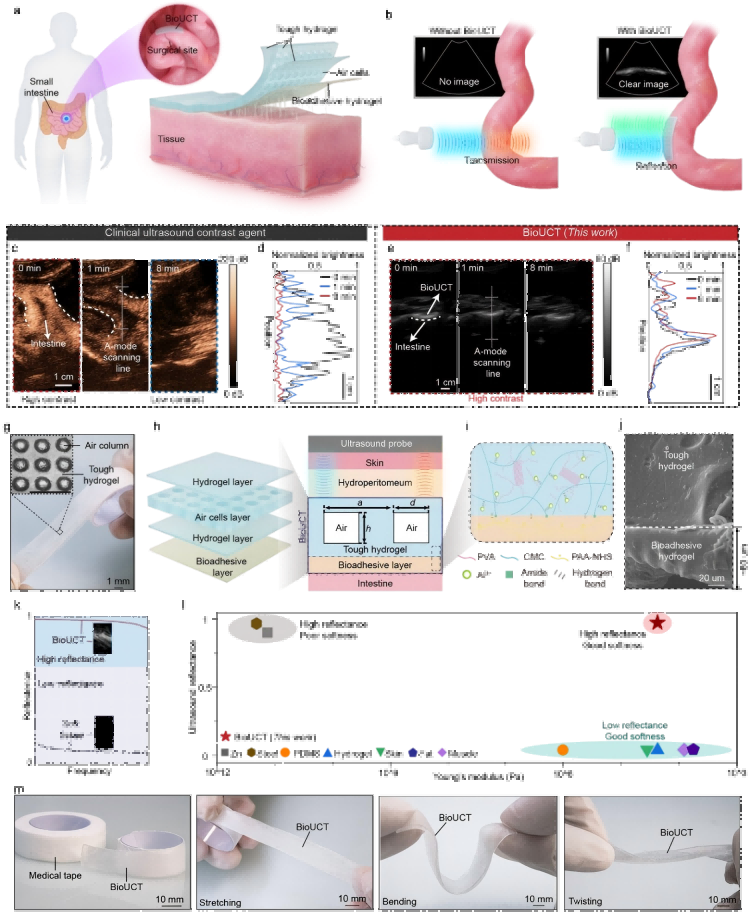 1757301808717646.png 微信圖片_2025-09-08_111903_436(2).png