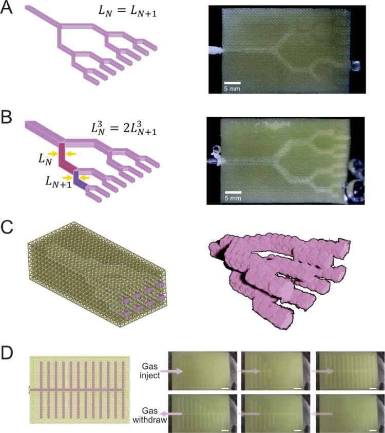 1758777098278892.jpg 微信圖片_2025-09-25_111047_939.jpg