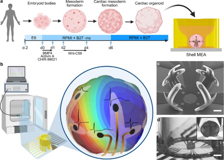 1760926170155075.jpg 微信圖片_2025-10-20_100424_507.jpg