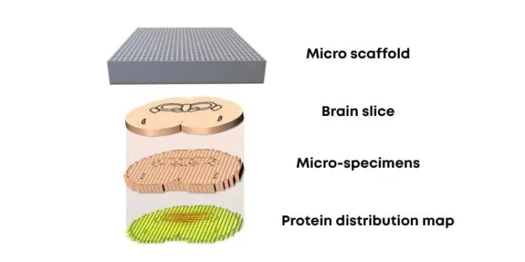 1764054789791768.jpg 微信圖片_2025-11-25_150953_316.jpg